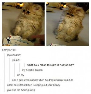 funny-picture-kitty-kidney-gift