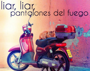 Found on hipsterphineasandferb.tumblr.com