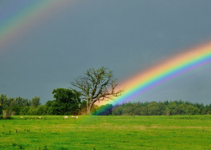 SJ2638 : Somewhere Over The Rainbow