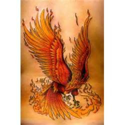 Tattoos Designs Blog Archive Rising Phoenix Tattoo picture 12771