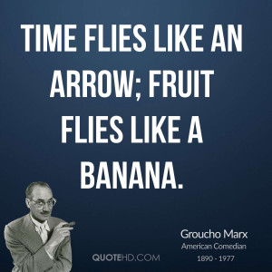 Time flies like an arrow; fruit flies like a banana.
