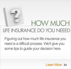 Term Life Insurance Quotes