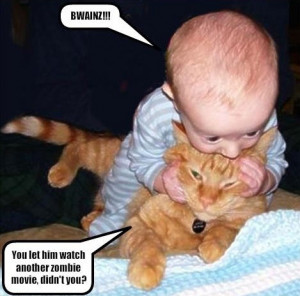 Funny photos funny baby biting cats head