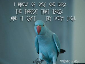 Quotes And Sayings About Birds. QuotesGram