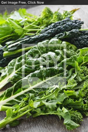 Dark Green Leafy Vegetables