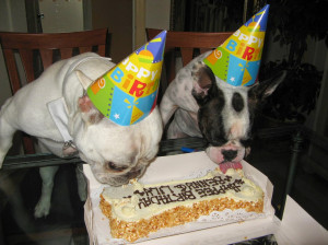 happy birthday bulldogs