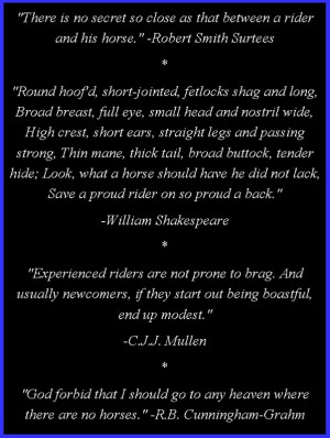 Horse Quotes And Sayings