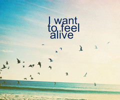 want to feel alive | Flickr - Photo Sharing!