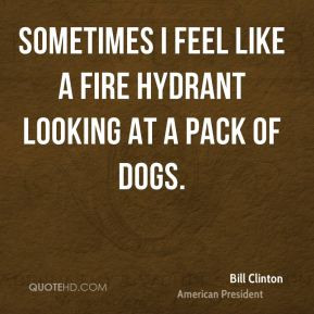 Bill Clinton - Sometimes I feel like a fire hydrant looking at a pack ...