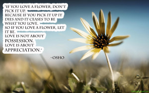 if you love a flower don t pick it up because if you pick it up it ...