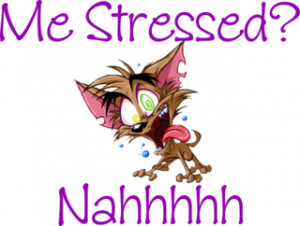oktober 18 stressad ni är väl aldrig stressade tänkte väl det ...