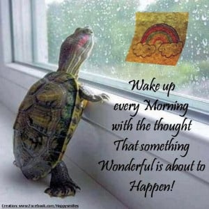 ... morning with the thought that something wonderful is about to happen
