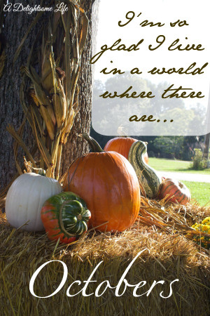 There are so many reasons we can list that we love fall.