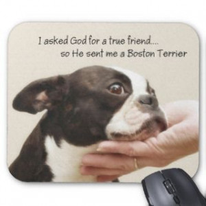 Boston Terrier Quotes