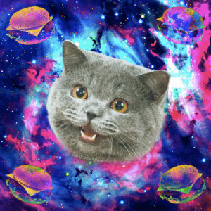 cat, cats, galaxy, high, meow, pur, space, weed