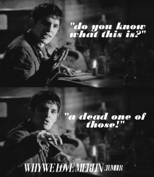 submitted by travelplanmaker-cupcakebaker