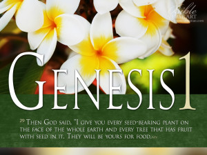 Genesis 1:29 – God is Our Provider Papel de Parede Imagem