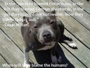 In the '70s they blamed Dobermans, in they '80s they blamed German ...