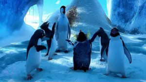 Pictures from video Note: To view in high resolution, click on them