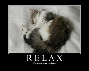 Cats know how to live.
