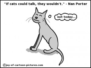 Cat-Quotations - Here are some illustrated cat quotations.