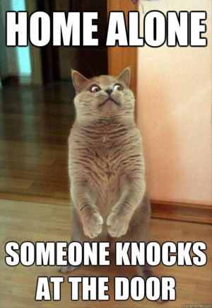 cat home alone funny pictures