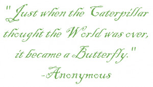 Butterfly Inspiration & Love