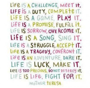 ... Is A Challenge Meet It Life Is Duty Complete It - Challenge Quotes