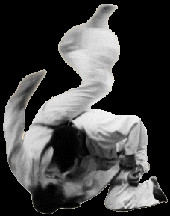 Funny Judo Quotes