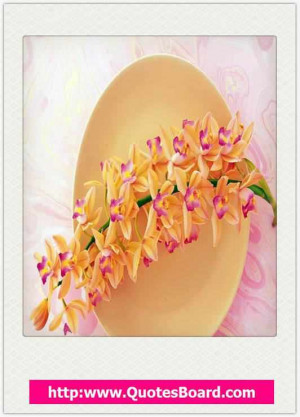 willful man must have his way – Wisdom Quote