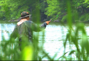 Thread: Interview with Chris Stewart (tenkarabum)