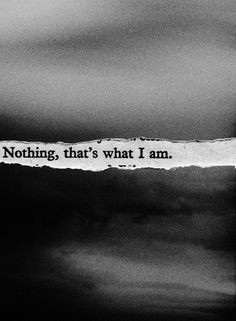 ... not good enough, that I'm fat and ugly..that I don't deserve to live