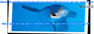 Winter the dolphin Profile Facebook Covers