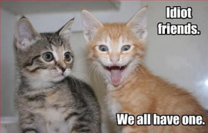 Idiot Friends