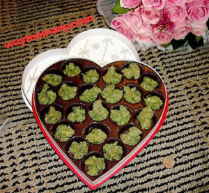 ... with medical marijuana is headed for divorce on february 14 2012 that