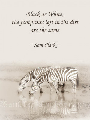 ... Art, Inspired Quote, African Wildlife Photo, African Zebra, Pale Sepia