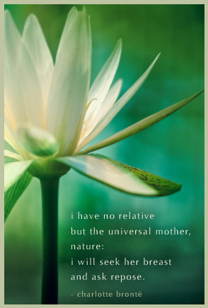 have no relative but the universal mother, nature: i will seek her ...