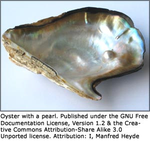motivational-quotes-oyster-with-pearl-inside.jpg