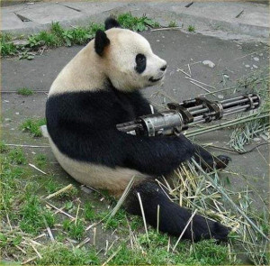 搞笑熊猫图片