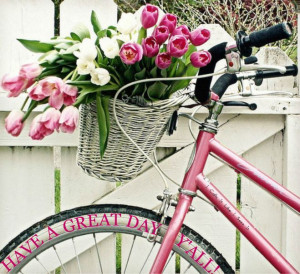 Have a great day y'all