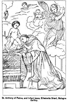st anthony padua more ave maria de padua iampo anthony padua santo ...
