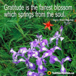 Found on theattitudeofgratitude.com