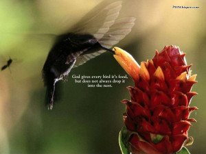 Motivational Wallpaper on God : God gives every bird its food,