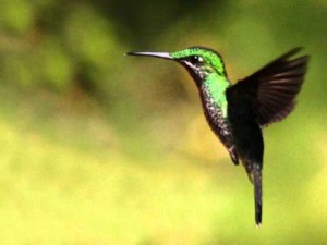 Abraham Hicks Helps Resonate With Abundance – YouTube is creative ...