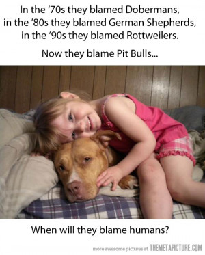 funny dangerous dogs Dobermans Rottweiler Pit Bulls