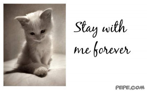 Stay with Me Forever Quotes
