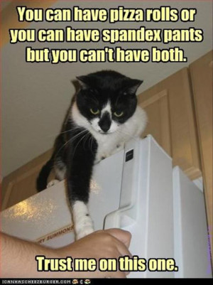 Funny Pictures – 38 Pics