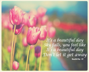 Beautiful Spring Day Quotes U2 - beautiful day #u2 #tulips