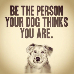... Quotes, Best Friends, Pet, High Standards, Puppys, Mom Quotes, Animal