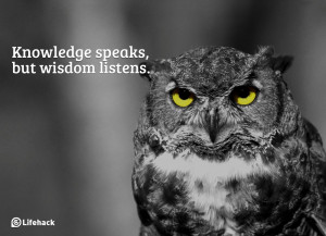 What Are the Differences Between Knowledge, Wisdom, and Insight?